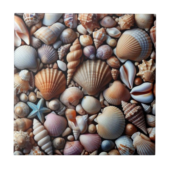 Muscheln Keramik Fliese (Vorderseite)