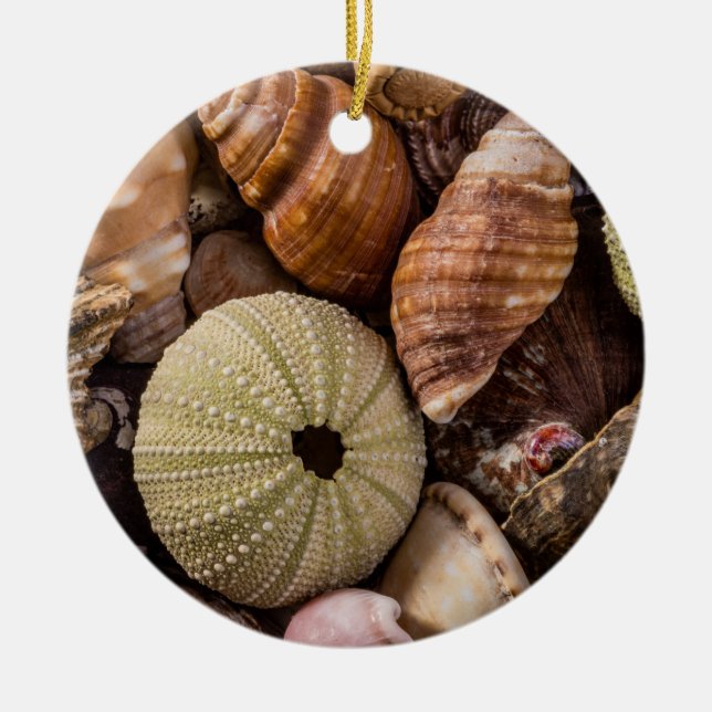 Muscheln Keramik Ornament (Vorne)