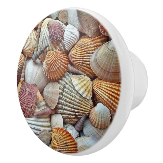 Muscheln Keramikknauf (Rechts)