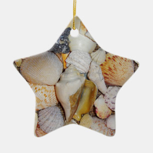 Muscheln Keramikornament