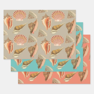 Muscheln künstlerischen Vintagen Stil Geschenkpapier Set