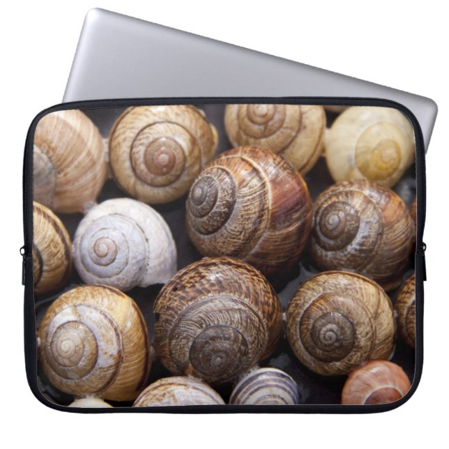 Muscheln Laptopschutzhülle (Vorderseite)