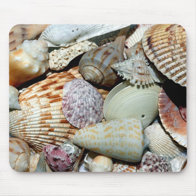 Muscheln Mousepad (Vorne)