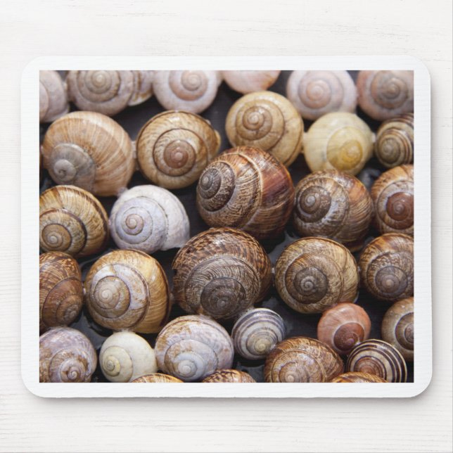 Muscheln Mousepad (Vorne)