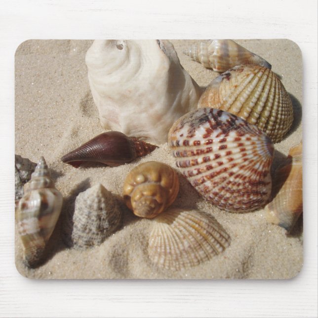 Muscheln, Muscheln Mousepad (Vorne)