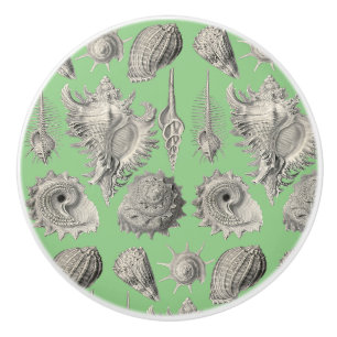 Muscheln Nautical Strand Muscheln Mintgrün Weiß Keramikknauf
