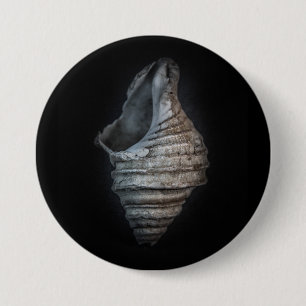 Muscheln Nr. 6 Farbversion Button