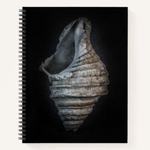 Muscheln Nr. 6 Farbversion Notizbuch