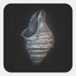 Muscheln Nr. 6 Farbversion Quadratischer Aufkleber