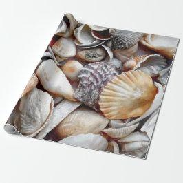 Muscheln Ocean Beach Schönes Deko Geschenkpapier