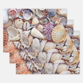 Muscheln Ocean Beach Wasserfarbendekoutierung Geschenkpapier Set