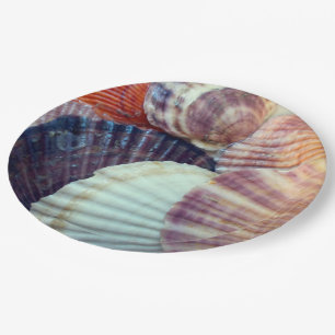 Muscheln Papierplatte Pappteller