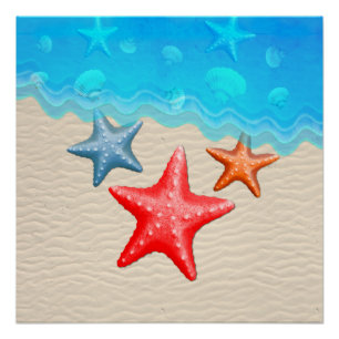 Muscheln Poster