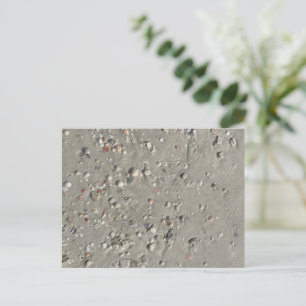 Muscheln Postkarte