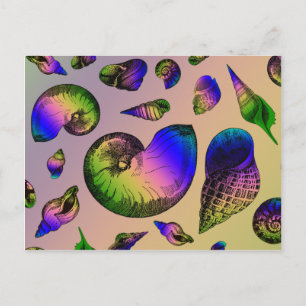 Muscheln Postkarte