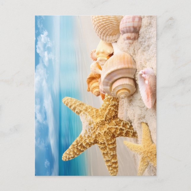 Muscheln  postkarte (Vorderseite)