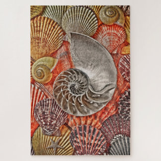 Muscheln Puzzle