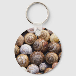Muscheln Schlüsselanhänger