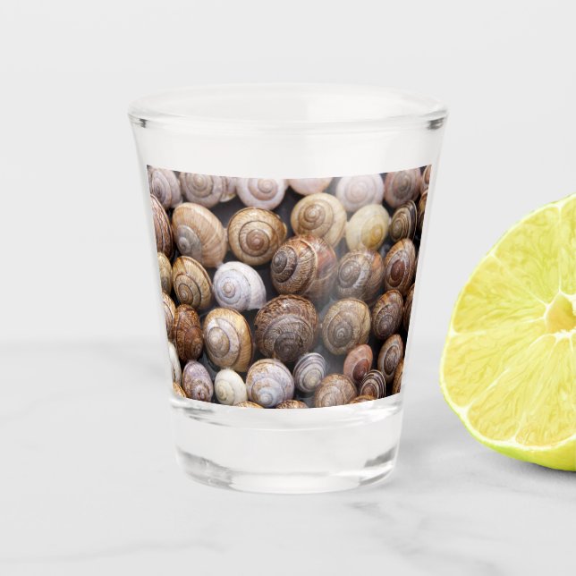Muscheln Schnapsglas (Vorderseite)