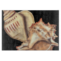 Muscheln