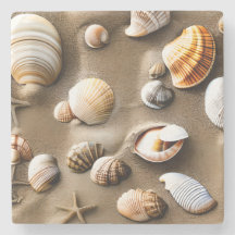 Muscheln Sea Life Beach Art Deco