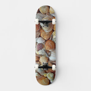 Muscheln Skateboard