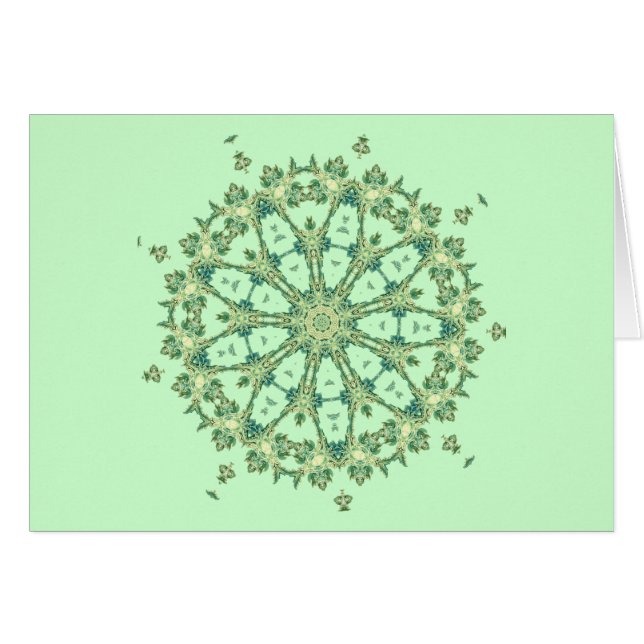 Muscheln ~ Spokes (Vorderseite (Horizontal))