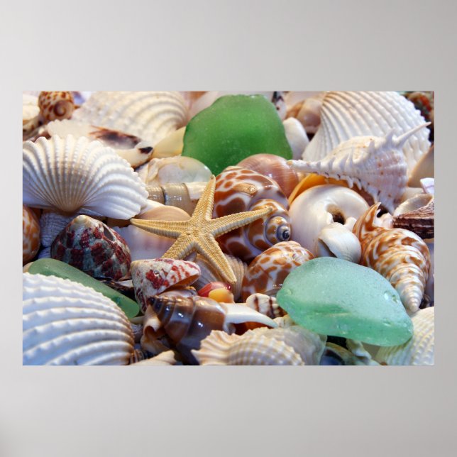 Muscheln, Starfish & Beach Glass Poster (Vorne)