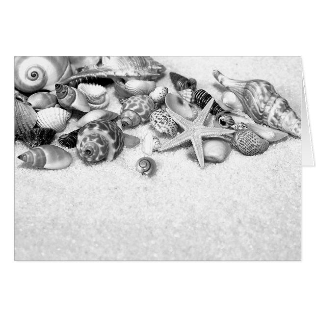 Muscheln & Starfish Card (Vorderseite (Horizontal))