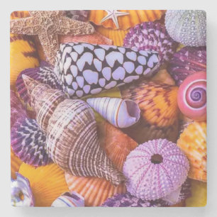 Muscheln Steinuntersetzer