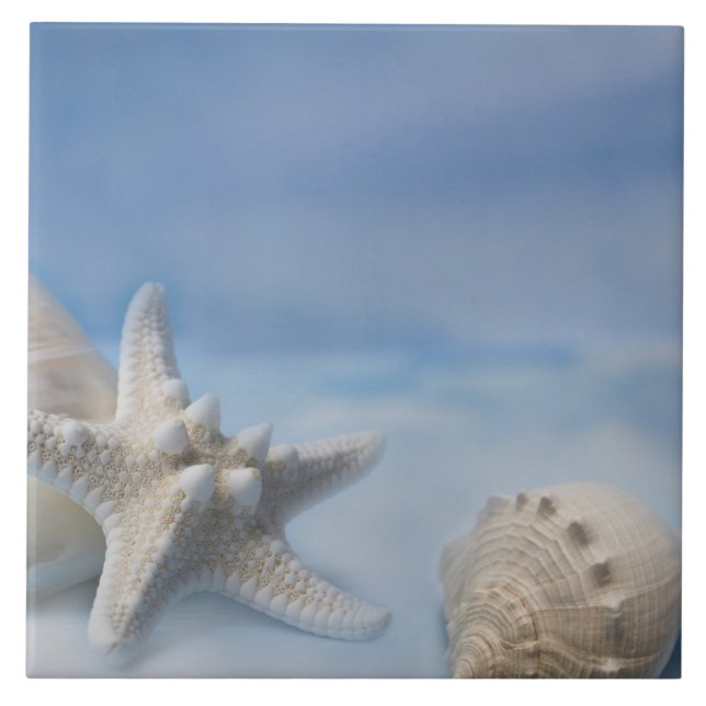 Muscheln-Stern-Fischehandgemalter blauer Fliese (Vorderseite)