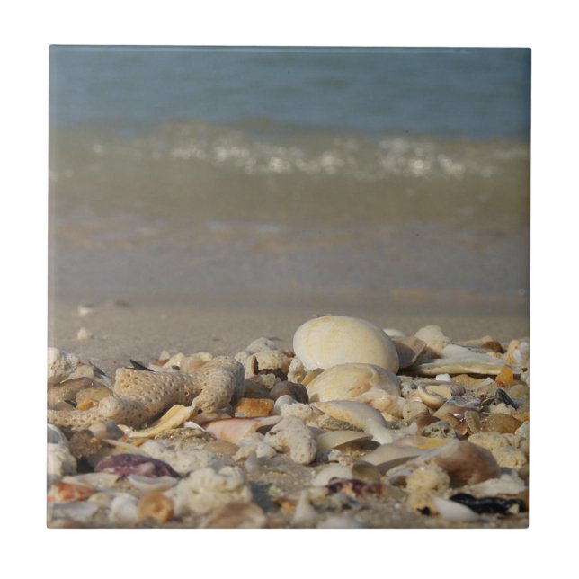 Muscheln, Strand, Wasser, Sand, Meer, Meer, Foto, Fliese (Vorderseite)