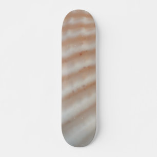 Muscheln Summer Beach Exotic Tropical Skateboard
