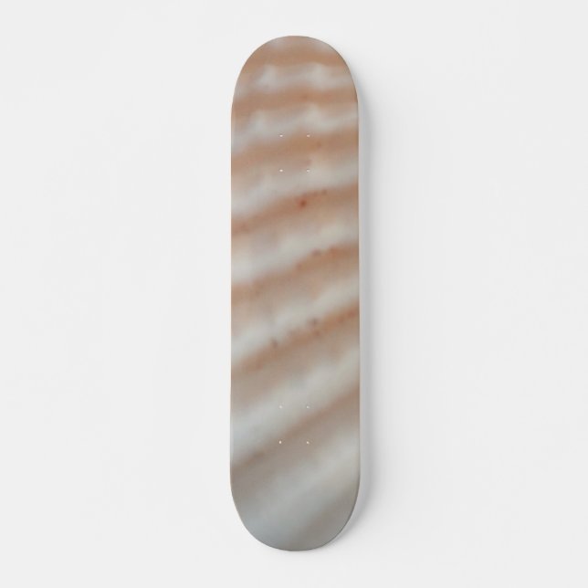 Muscheln Summer Beach Exotic Tropical Skateboard (Vorne)