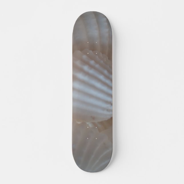Muscheln Summer Beach Exotic Tropical Skateboard (Vorne)