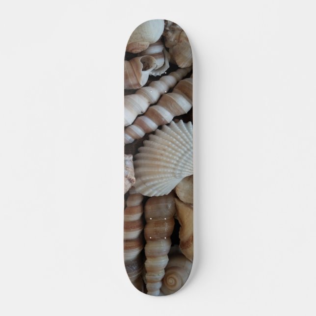 Muscheln Summer Beach Exotic Tropical Skateboard (Vorne)