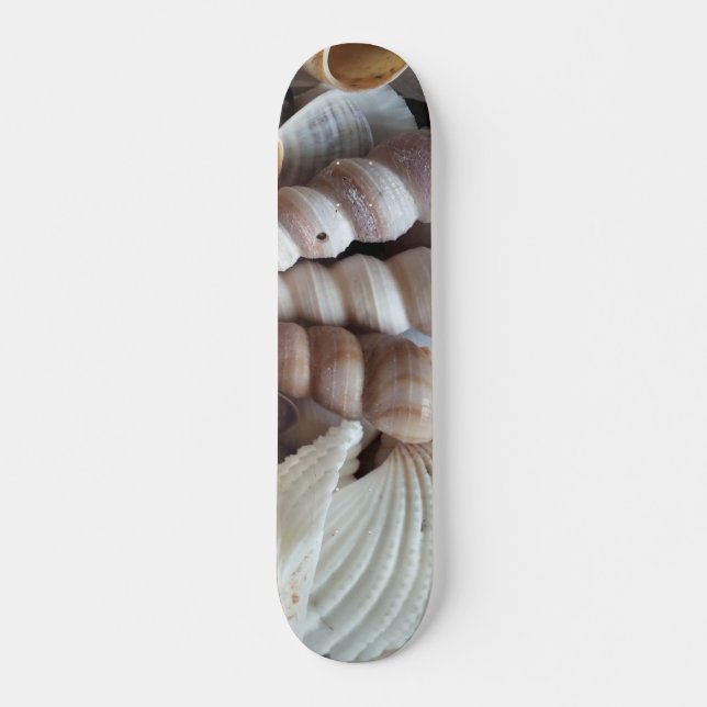 Muscheln Summer Beach Exotic Tropical Skateboard (Vorne)