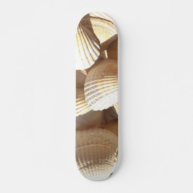 Muscheln Summer Beach Exotic Tropical Skateboard (Vorne)