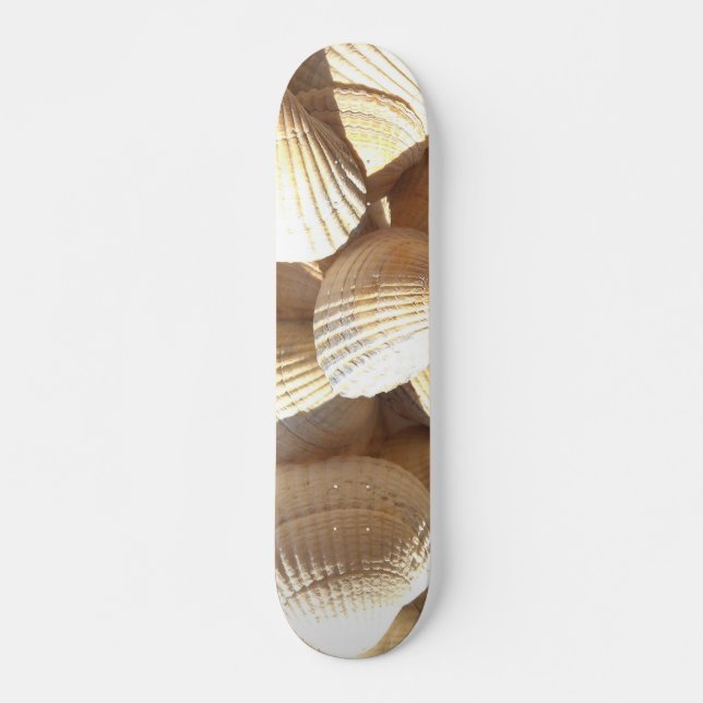 Muscheln Summer Beach Exotic Tropical Skateboard (Vorne)
