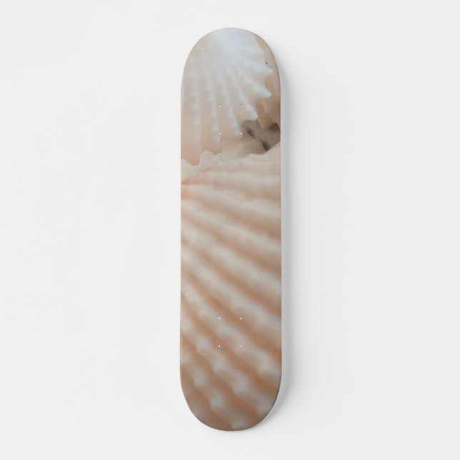 Muscheln Summer Beach Exotic Tropical Skateboard (Vorne)