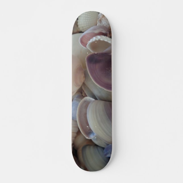Muscheln Summer Beach Exotic Tropical Skateboard (Vorne)