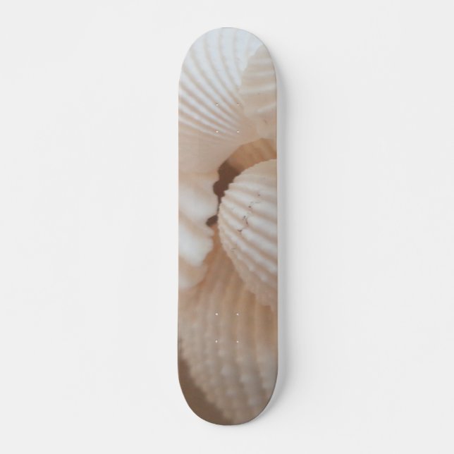 Muscheln Summer Beach Exotic Tropical Skateboard (Vorne)