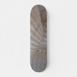Muscheln Summer Beach Exotic Tropical Skateboard