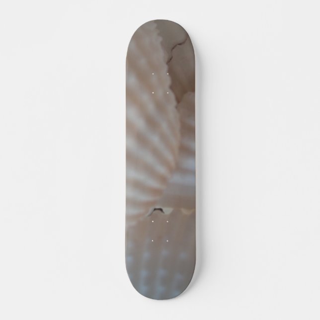 Muscheln Summer Beach Exotic Tropical Skateboard (Vorne)