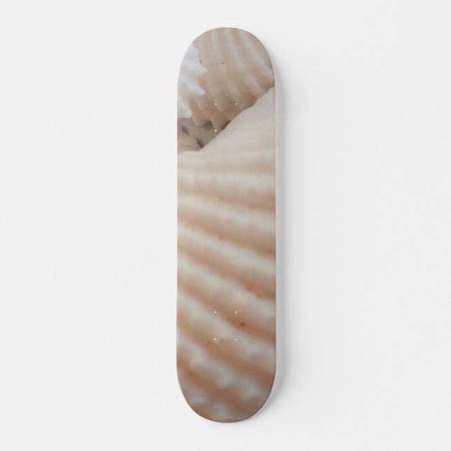 Muscheln Summer Beach Exotic Tropical Skateboard (Vorne)