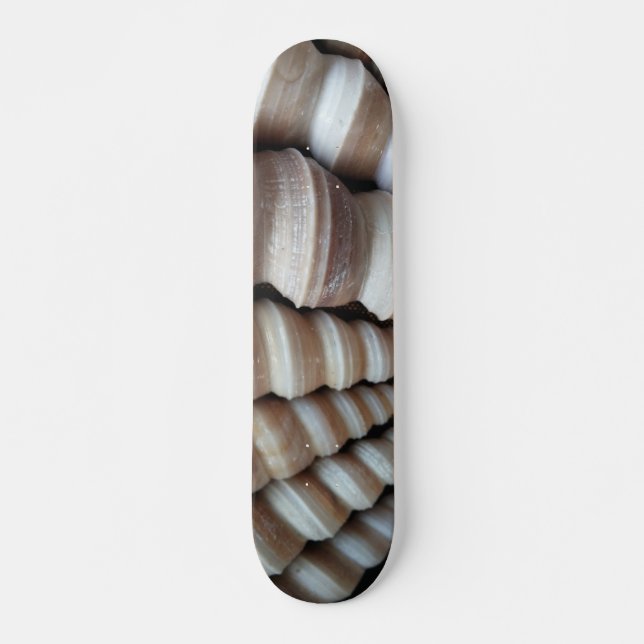 Muscheln Summer Beach Exotic Tropical Skateboard (Vorne)