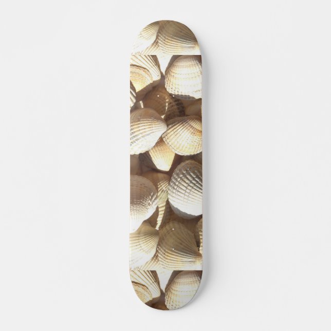 Muscheln Summer Beach Exotic Tropical Skateboard (Vorne)