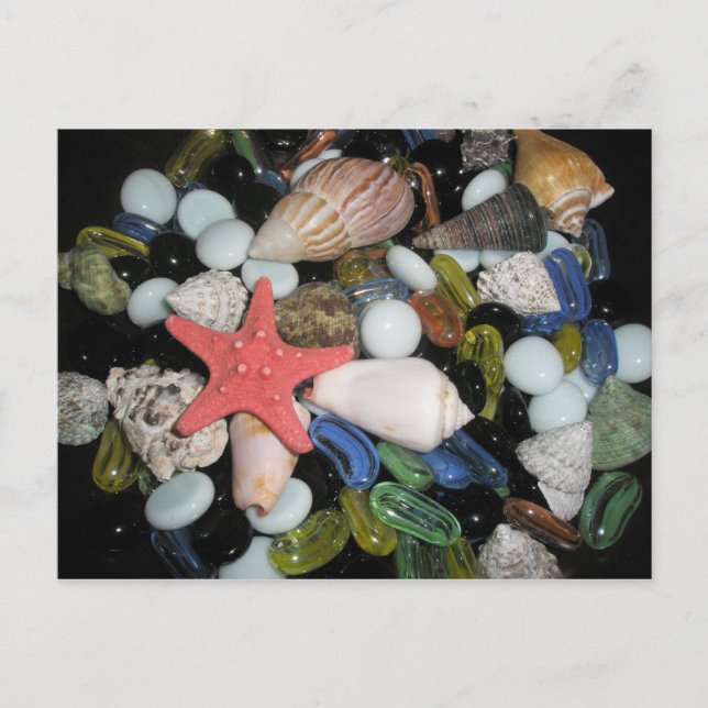 Muscheln und Felsen Postkarte (Vorderseite)