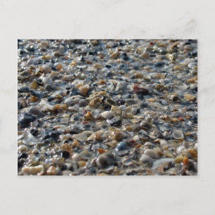Muscheln und Kies Postkarte
