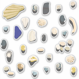 Muscheln und Kiesstrand Aufkleber
